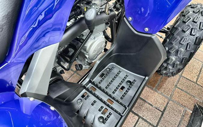 2026 Yamaha RAPTOR 110