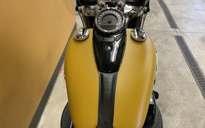 2019 Harley-Davidson Softail FLSL - Softail Slim