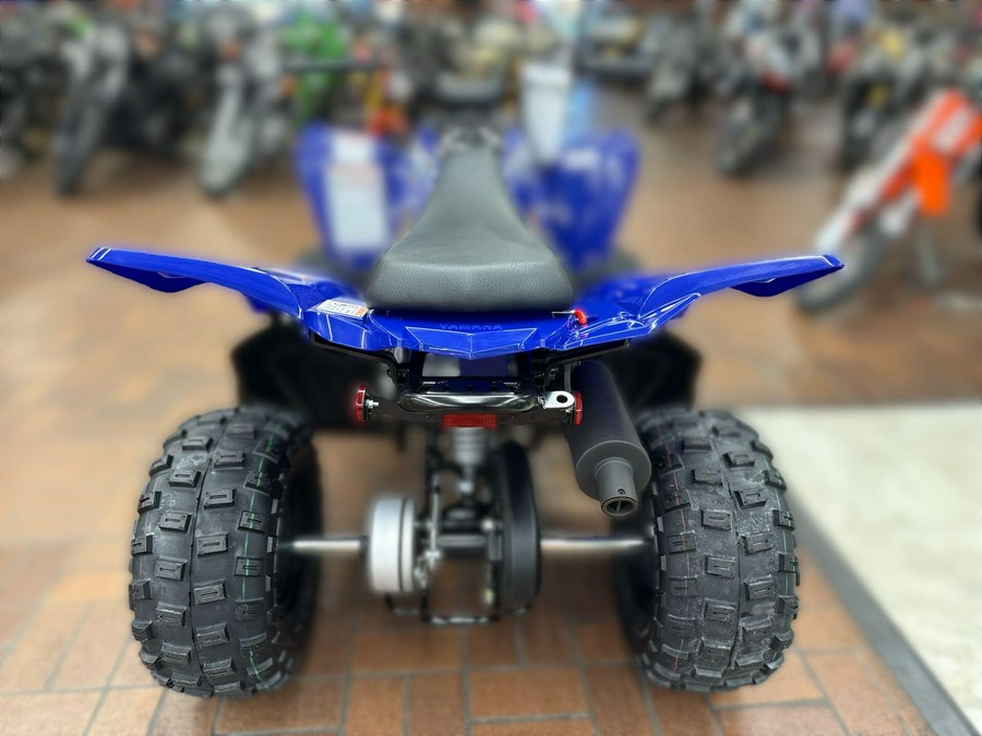 2026 Yamaha RAPTOR 110