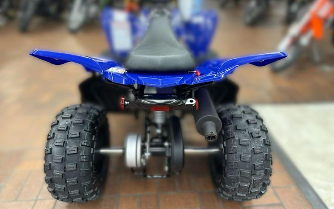 2026 Yamaha RAPTOR 110