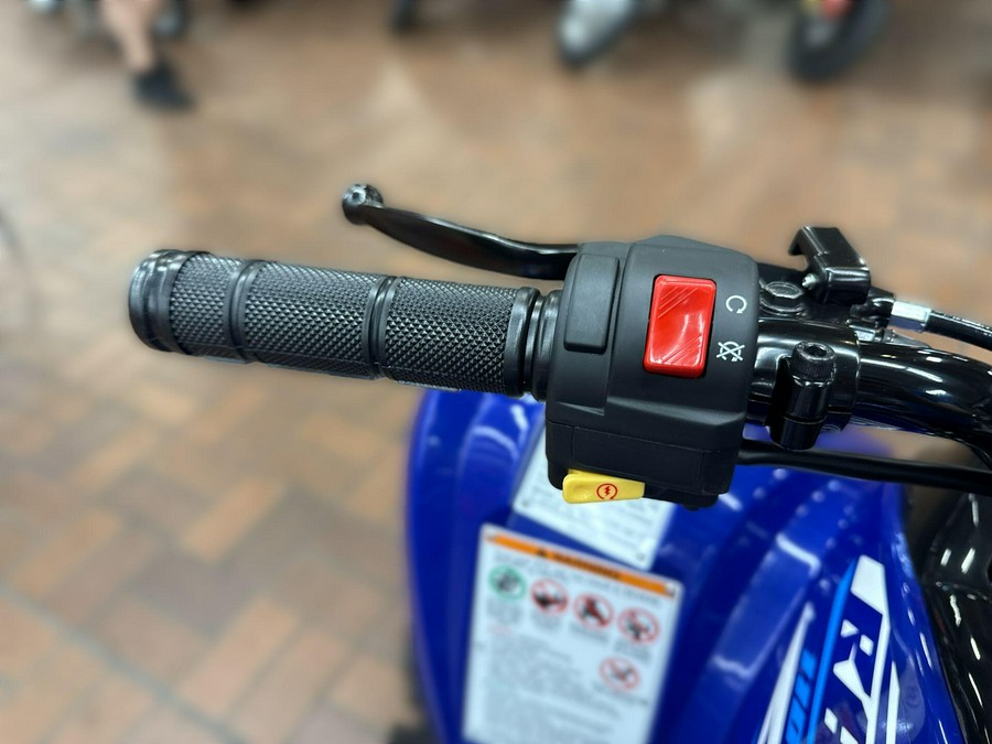 2026 Yamaha RAPTOR 110