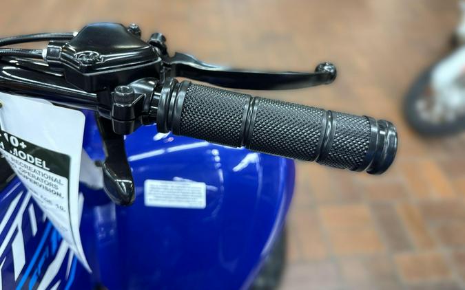 2026 Yamaha RAPTOR 110