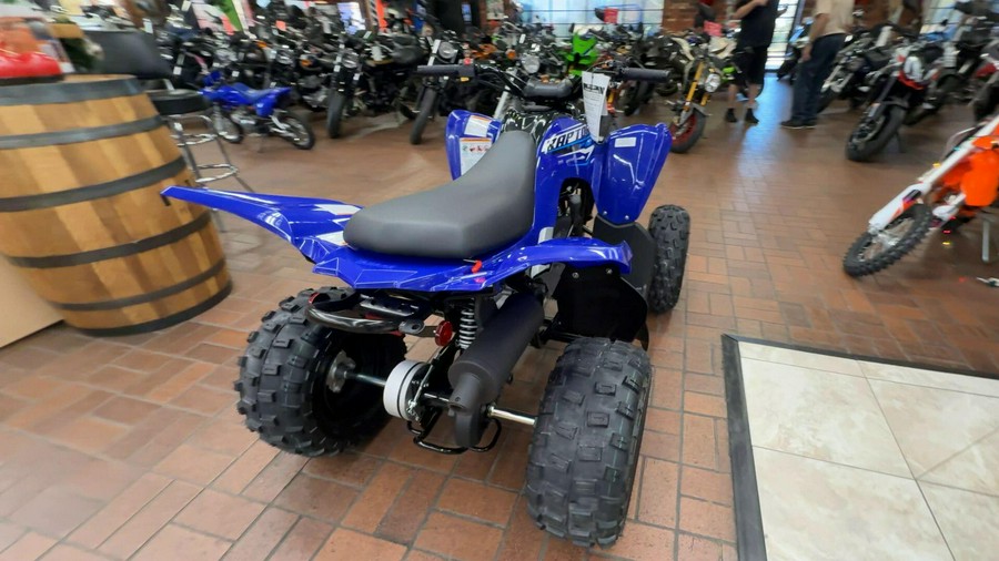 2026 Yamaha RAPTOR 110