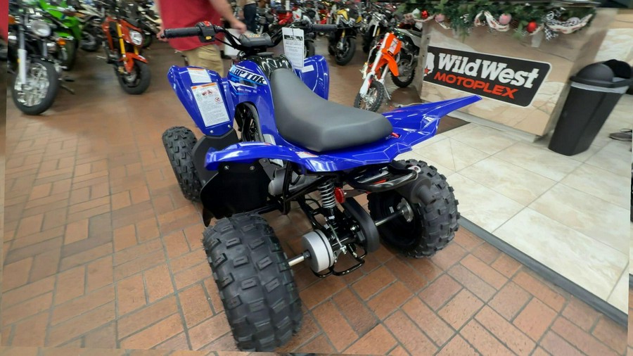 2026 Yamaha RAPTOR 110