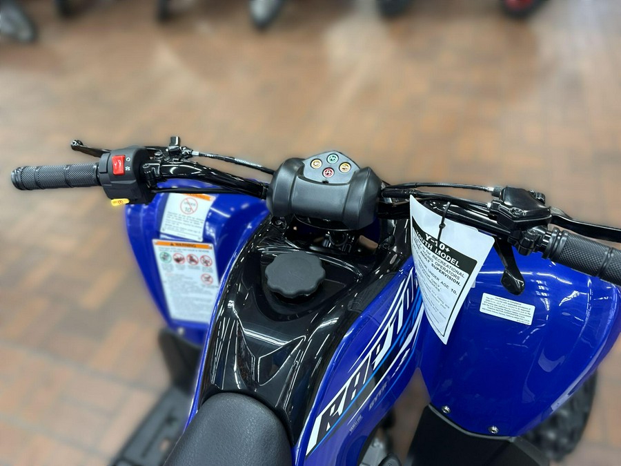 2026 Yamaha RAPTOR 110