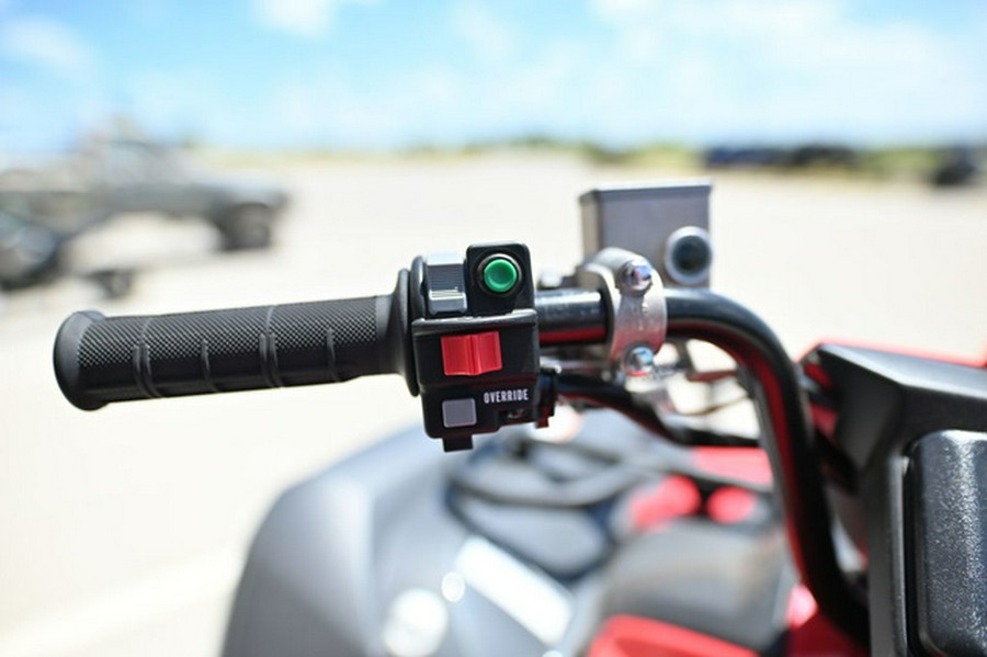 2025 Yamaha Grizzly EPS