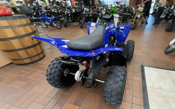 2026 Yamaha RAPTOR 110