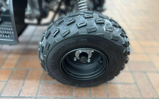 2026 Yamaha RAPTOR 110