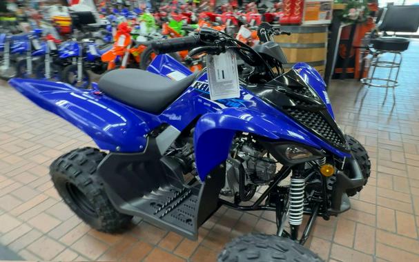 2026 Yamaha RAPTOR 110