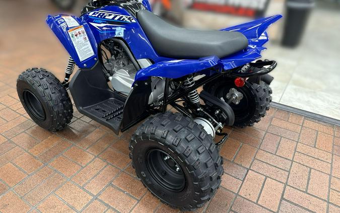 2026 Yamaha RAPTOR 110