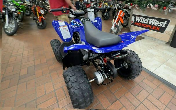 2026 Yamaha RAPTOR 110