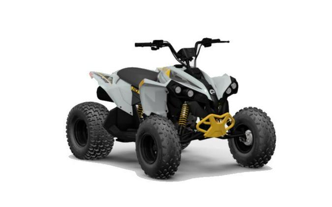 2024 Can-Am® Renegade 110 EFI