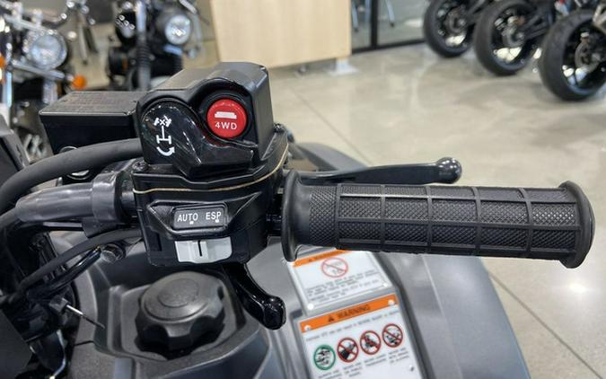 2025 Honda FourTrax Foreman Rubicon 4x4 Automatic DCT EPS Del