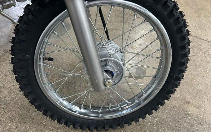 2026 Kawasaki KLX® 110R