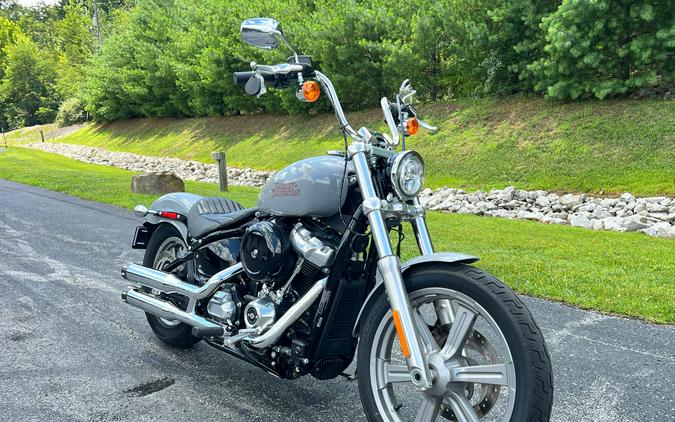 FXST 2024 Softail Standard