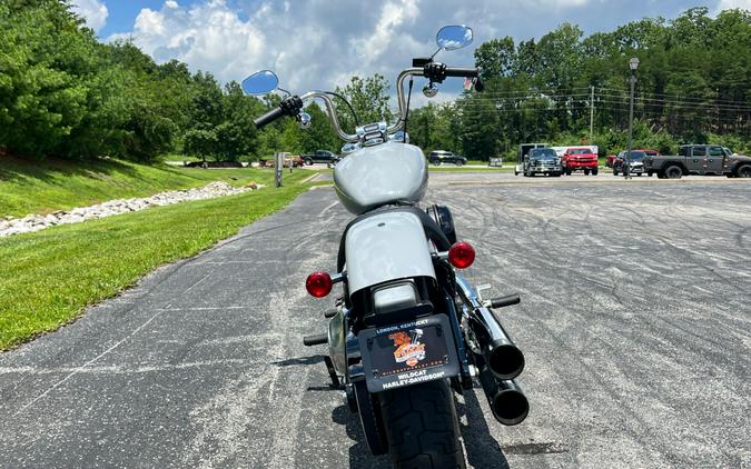 FXST 2024 Softail Standard