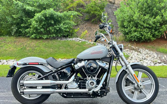FXST 2024 Softail Standard