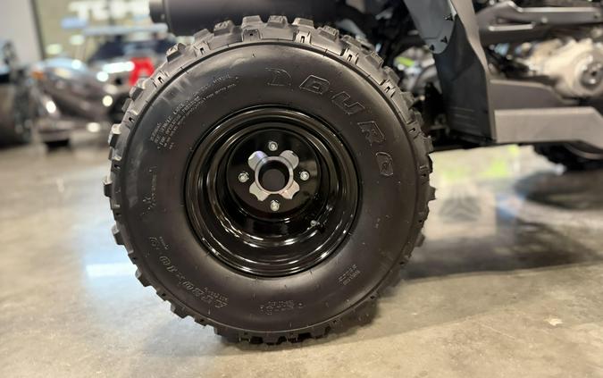 2026 Polaris Phoenix 200