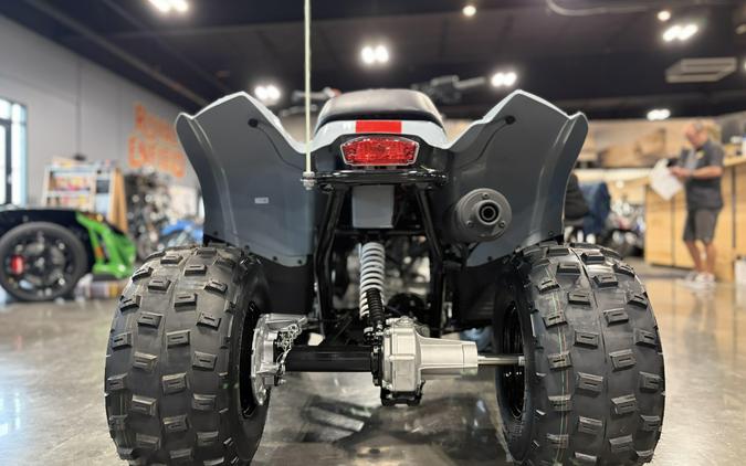 2026 Polaris Phoenix 200