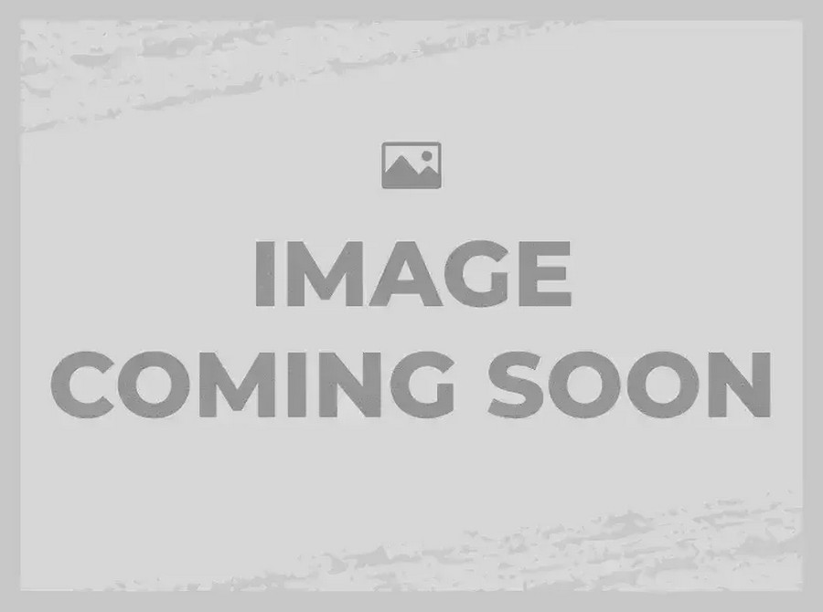 New 2026 Triumph TF-450X