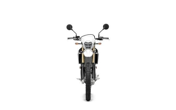 2026 Kawasaki KLX 300 Bright White