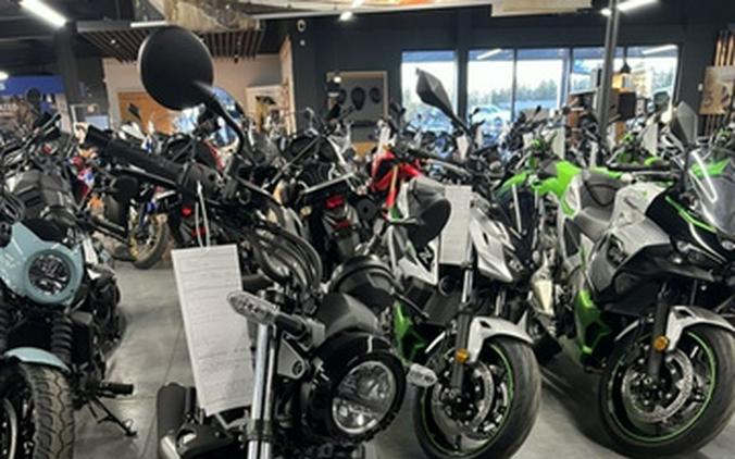 2025 Kawasaki Eliminator ABS