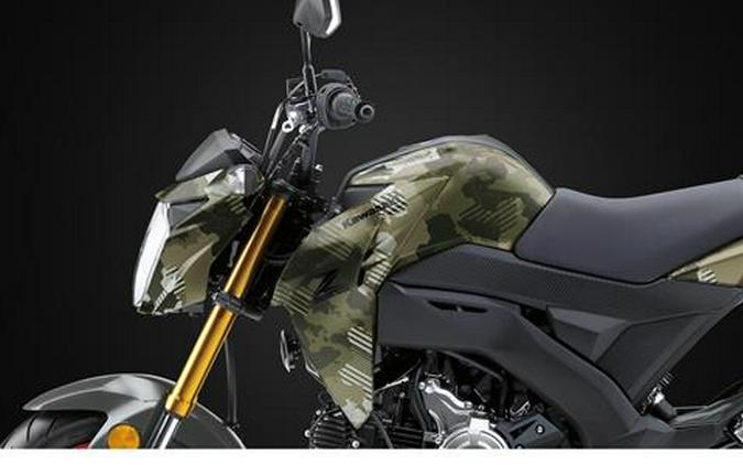 2026 Kawasaki Z125 Pro