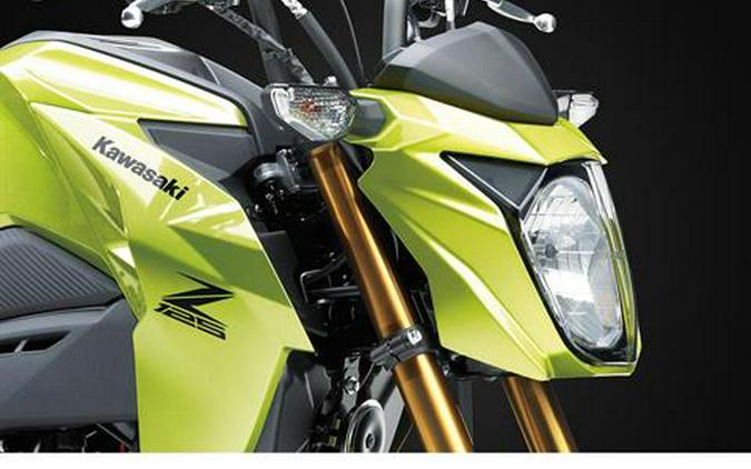 2026 Kawasaki Z125 Pro