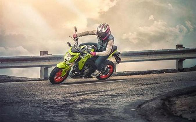 2026 Kawasaki Z125 Pro