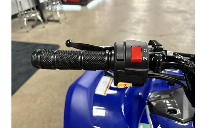 2026 Yamaha Grizzly 110