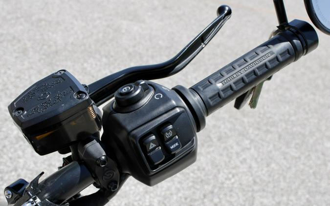 Used 2022 Harley-Davidson Sportster Nightster Motorcycle For Sale In Medina, OH