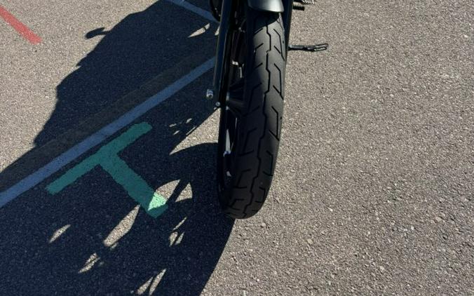 2022 Harley-Davidson® Iron 883™