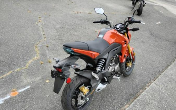 2025 Kawasaki Z125 Pro