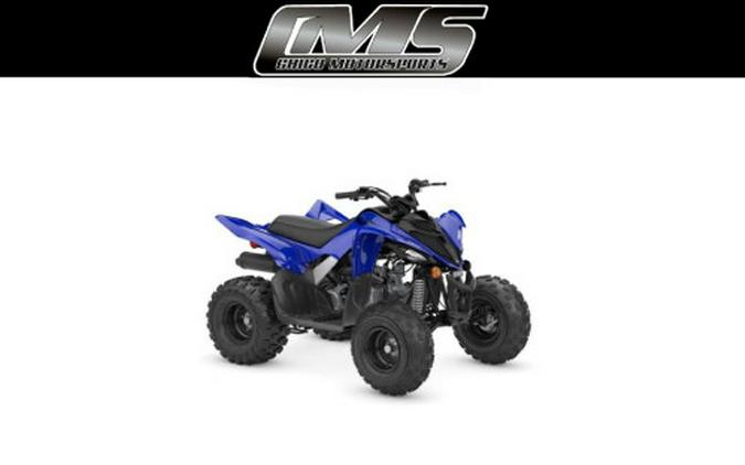 2024 Yamaha RAPTOR 110