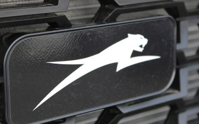 2025 Arctic Cat Prowler XT 800
