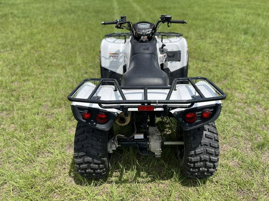 2021 Kawasaki Brute Force® 300