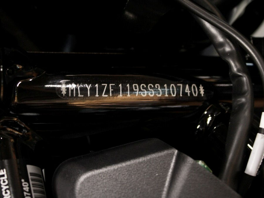 New 2025 Harley-Davidson Sportster Nightster Special Motorcycle For Sale In Medina, OH