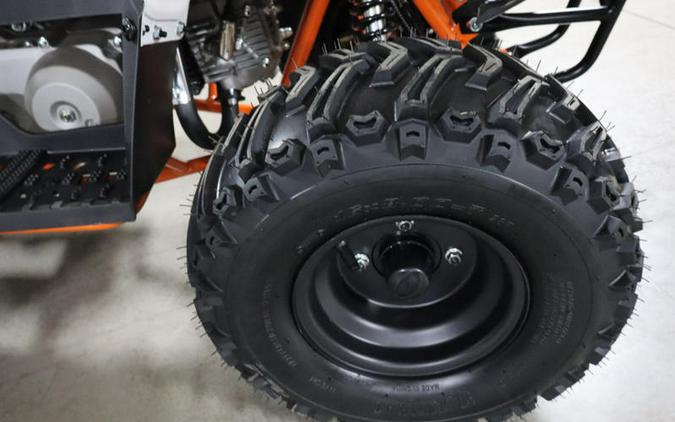 2025 Kayo Fox / Storm 70