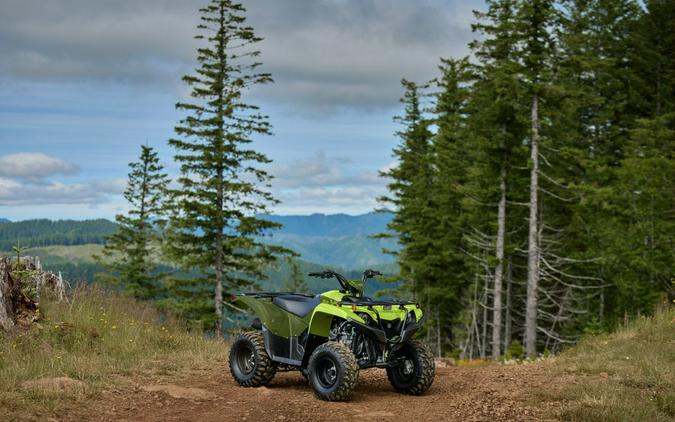 2027 Yamaha Grizzly 110