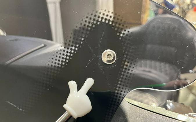 2021 Indian Roadmaster®