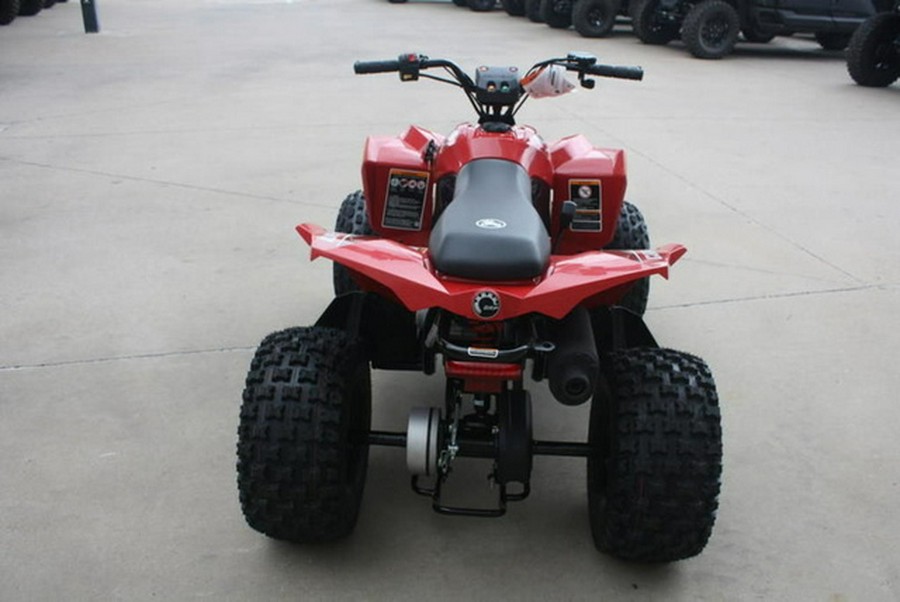 2027 Can-Am Renegade 110 EFI