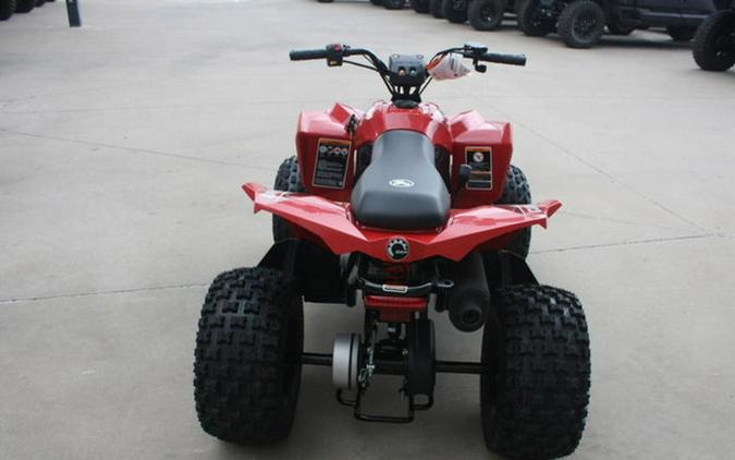 2027 Can-Am Renegade 110 EFI