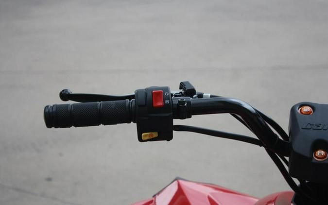 2027 Can-Am Renegade 110 EFI