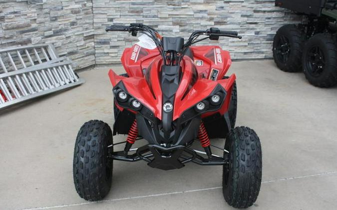 2027 Can-Am Renegade 110 EFI
