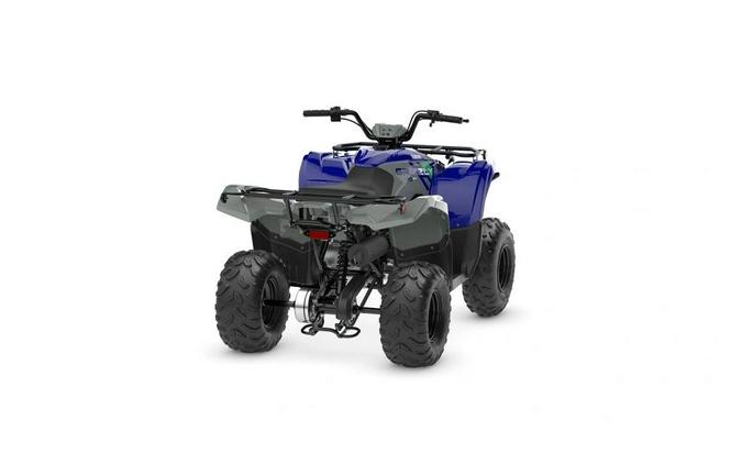 2026 Yamaha Grizzly 110
