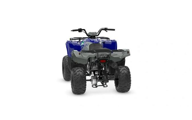 2026 Yamaha Grizzly 110