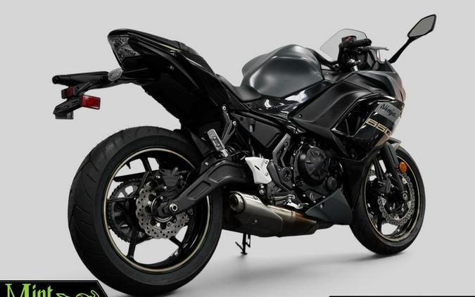2024 Kawasaki Ninja 650