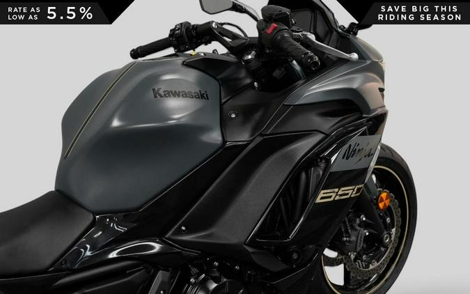 2024 Kawasaki Ninja 650
