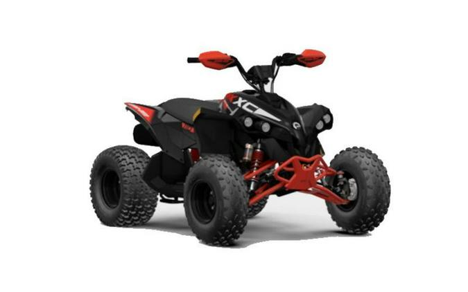 2024 Can-Am® Renegade 2X4 110-4ST