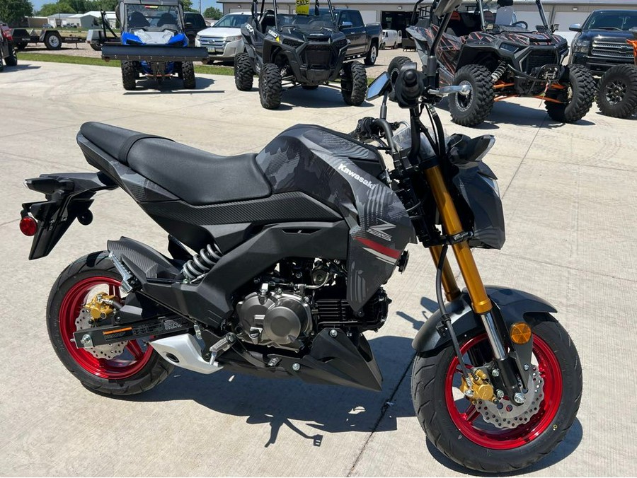 2024 Kawasaki Z125 PRO Base